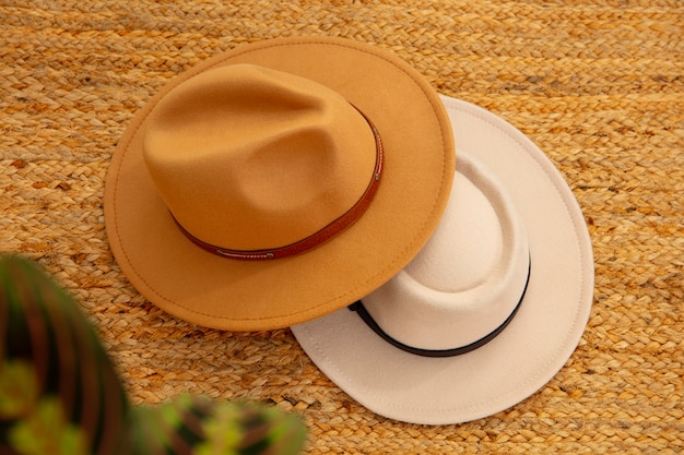 Assortment of stylish fedora hats