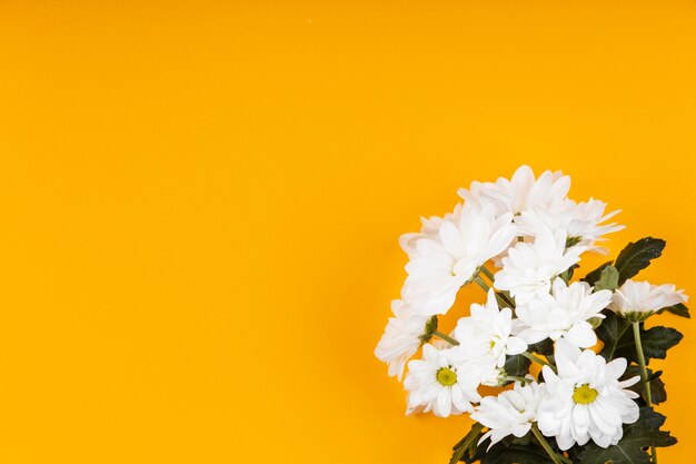 Assortment of white flowers with copy space