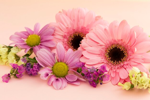 Assortment with colorful spring flowers