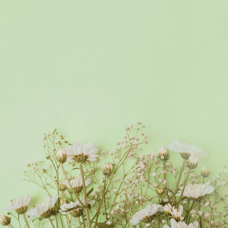 無料Photo 緑の背景の下にあるアスターと赤ちゃんの息の花