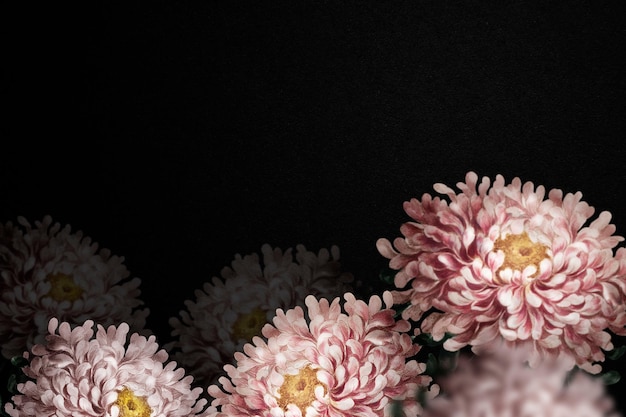 Aster border on black background