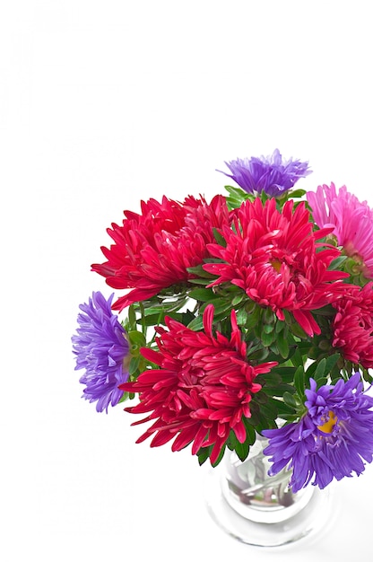 Aster flowers in a glass vase