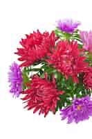 Free photo aster flowers in a glass vase