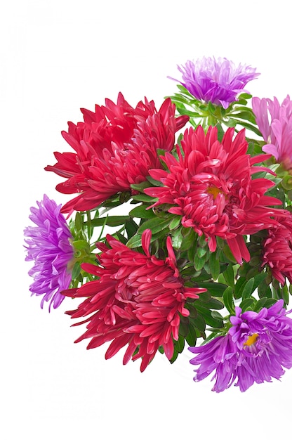 Aster flowers in a glass vase