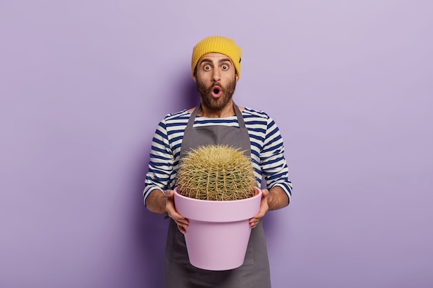 驚いた男性の花屋は、彼の屋内植物のサイズにショックを受けて、ポットに植えられた大きなサボテンを持っています