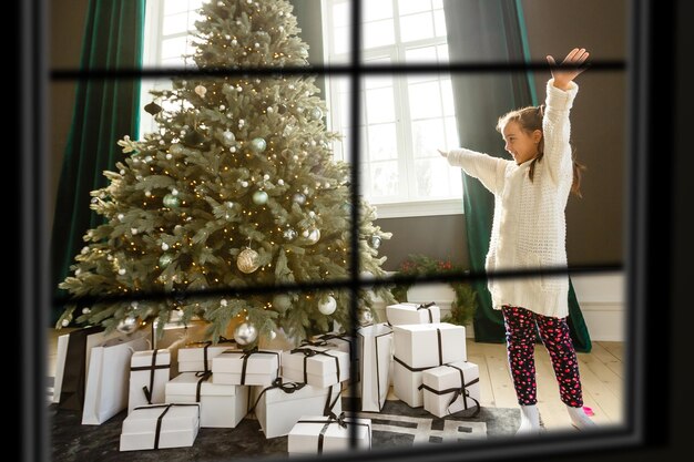 雰囲気のあるクリスマス ウィンドウ、クリスマス ツリー。