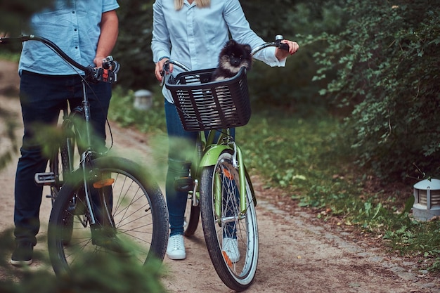 캐주얼 옷을 입은 금발 여성과 남성의 매력적인 커플이 바구니에 귀여운 작은 스피츠를 들고 자전거를 타고 있습니다.