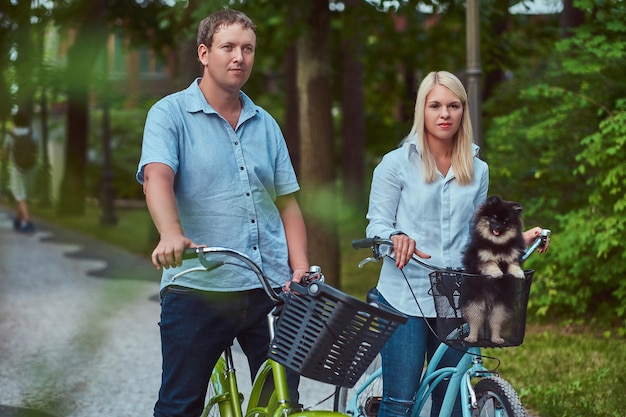 An attractive couple of a blonde female and man dressed in casual clothes on a bicycle ride with their cute little spitz in a basket.