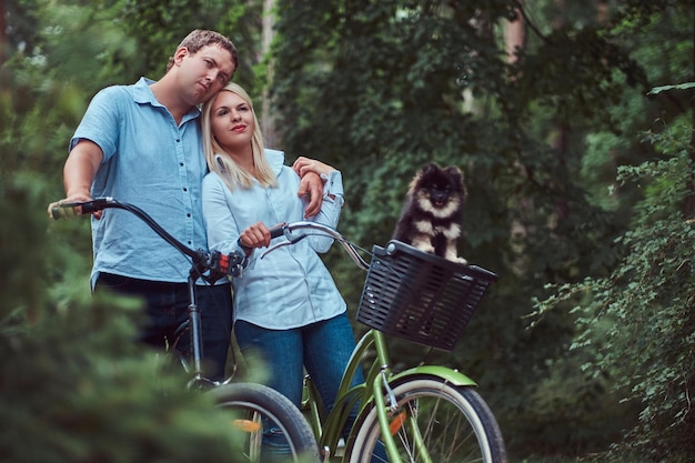 금발의 여성과 남성의 매력적인 커플이 캐주얼한 옷을 입고 바구니에 귀여운 작은 스피츠를 들고 자전거를 타고 껴안고 있습니다.