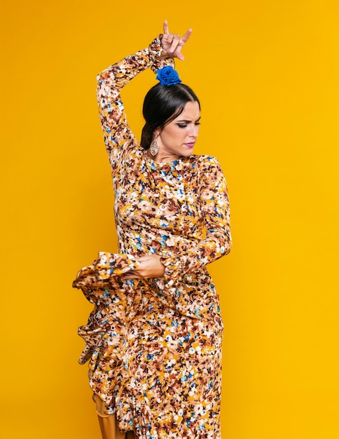 Attractive flamenco dancer posing 