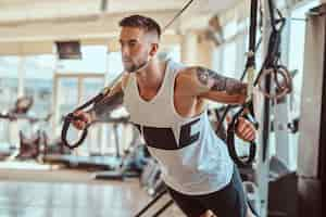 Free photo attractive powerful bodybuilder is doing exercises on training apparatus at sunny gym.