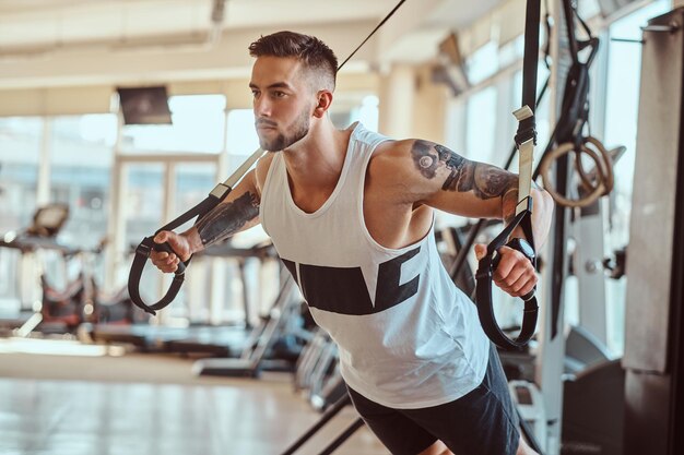 Attractive powerful bodybuilder is doing exercises on training apparatus at sunny gym.