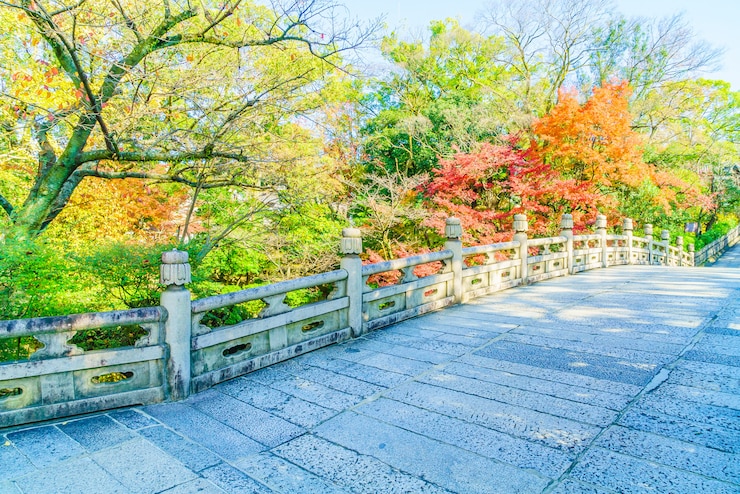 無料Photo 日本の秋のシーズン