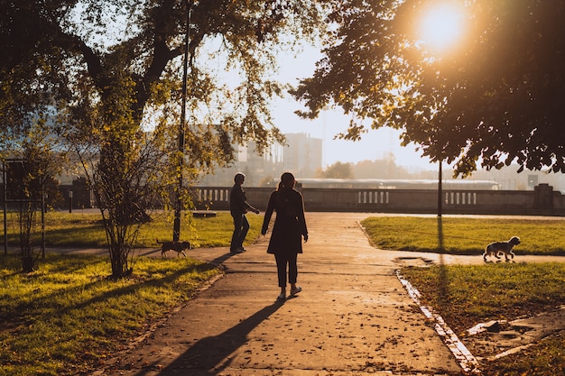 Осенняя аллея с деревьями и желтые опавшие листья.