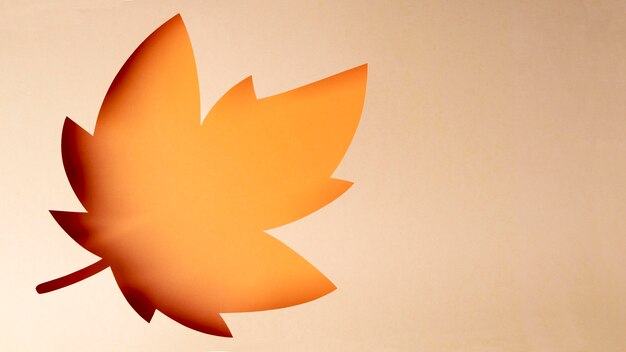 Free Photo autumn arrangement in paper style