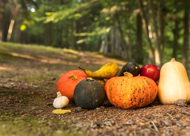 Autumn arrangement with different coloured pumpkins 