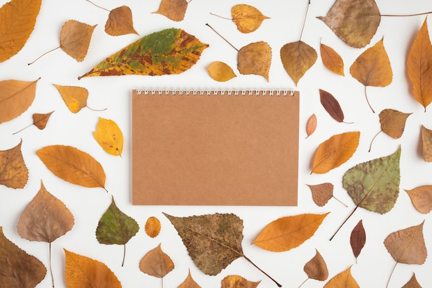 Autumn arrangement with withered leaves and notebook