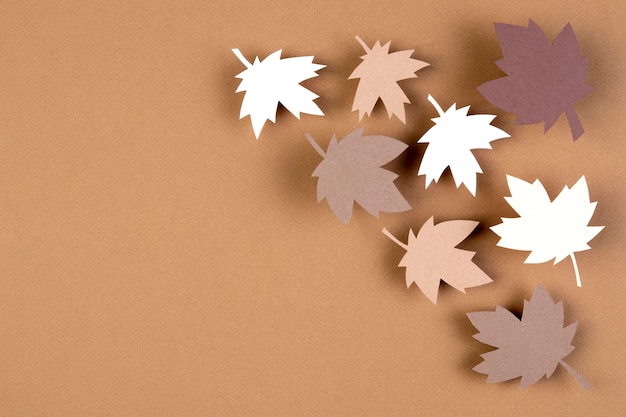 Free photo autumn assortment in paper style