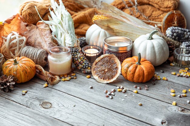Autumn background with candles pumpkins corn and knitted element