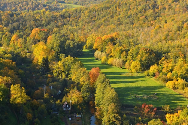 Foto gratuita autunno. belle foglie colorate sugli alberi nel tempo di autunno. sfondo naturale di colore stagionale.
