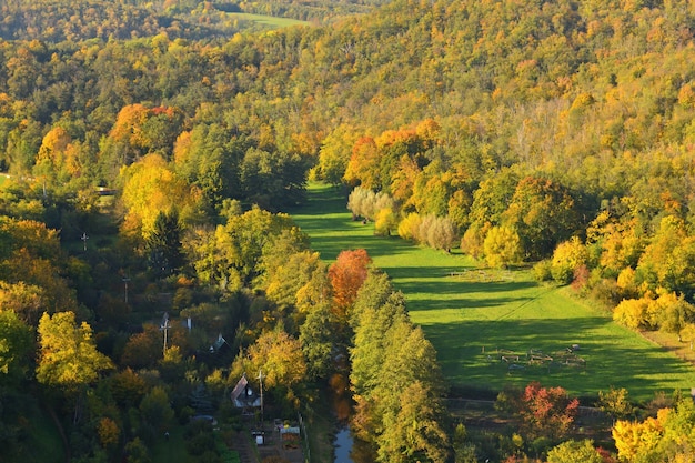 Autumn. Beautiful colorful leaves on trees in autumn time. Natural seasonal color background. 