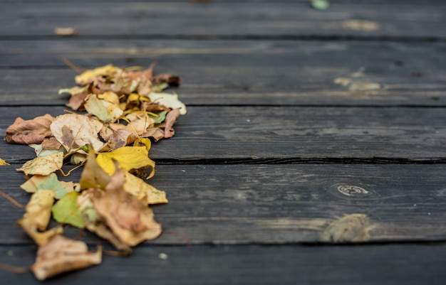 Autumn on a beautiful wooden table