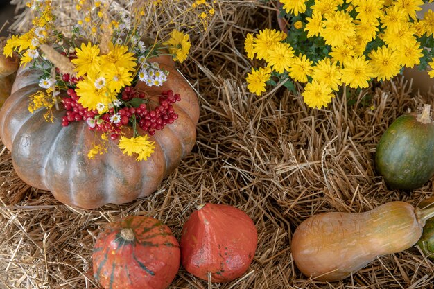 Autumn composition with pumpkins in a rustic style