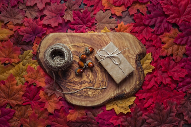 Autumn composition on wood stump 