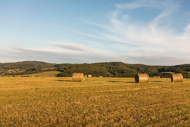 Autumn concept with big rolls of hays