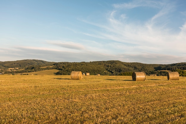 Autumn concept with big rolls of hays