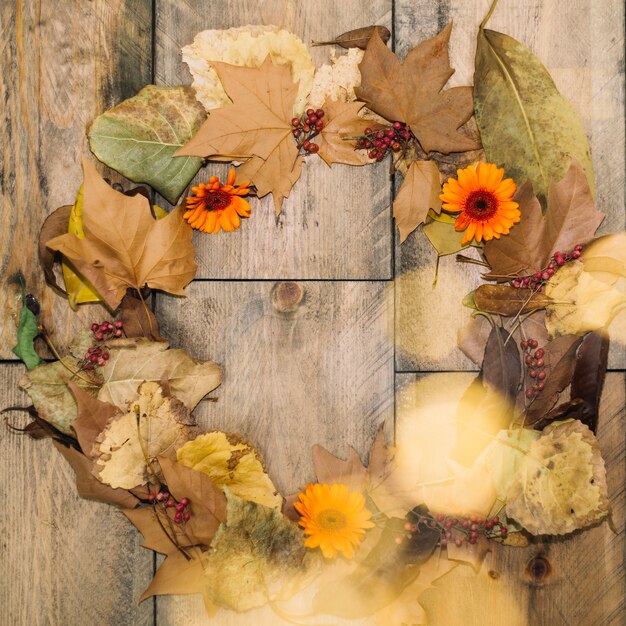 Autumn concept with leaves forming circle