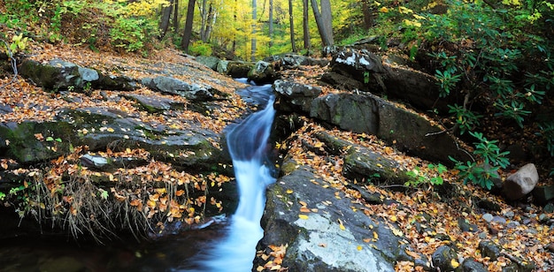 Autumn creek on rocks with foliage panorama