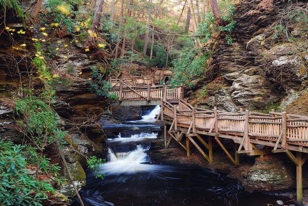 Autumn creek with hiking trails and foliage