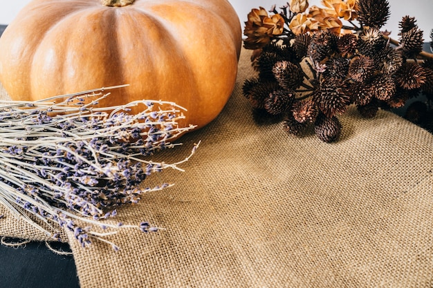 Free photo autumn decoration with pumpkin and space