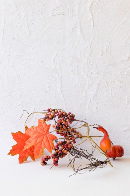 Autumn decorations near white wall