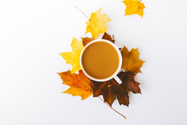 Free photo autumn flat lay background on white