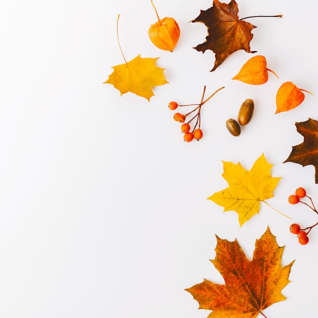 Foto gratuita fondo piano di disposizione di autunno su bianco