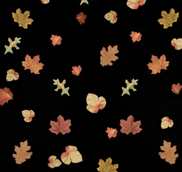 Осенняя листва на черном фоне