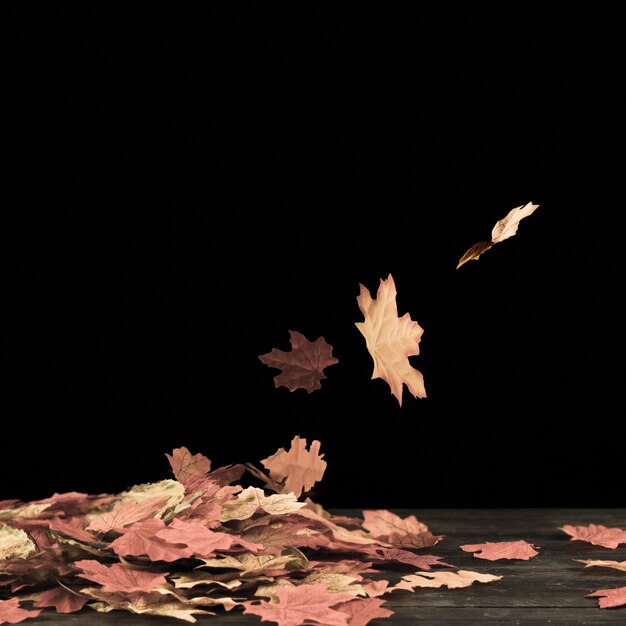 Autumn foliage flying on black surface