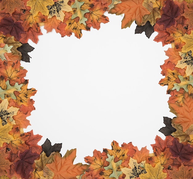 Autumn foliage picture frame