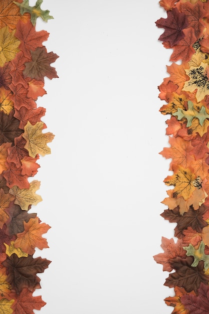 Autumn foliage side frames pattern