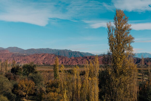 autumn forest and mountains landscape with blue sky 