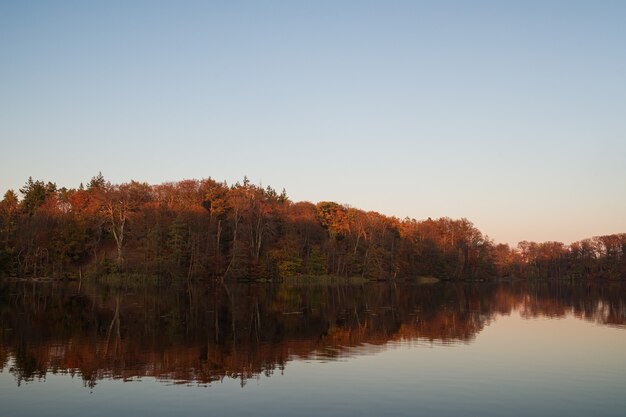 Осенний лес отражается на озере