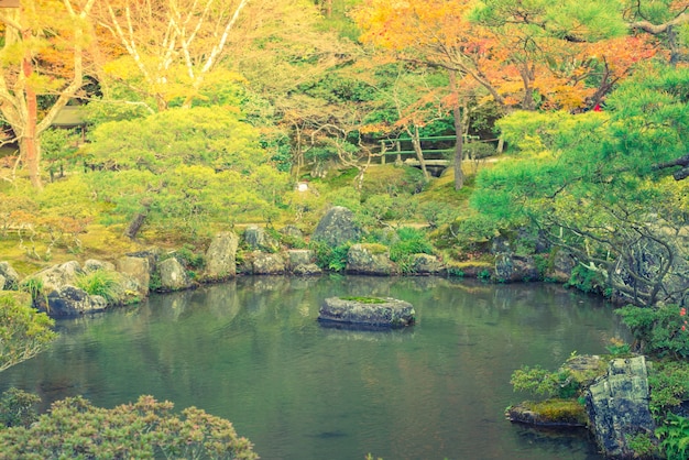 Бесплатное фото Осенний лес с рекой (фильтрованного изображения обрабатываются старинные effe