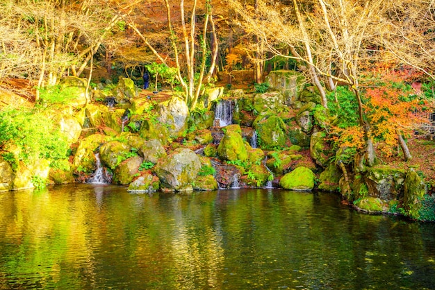 Autumn forest with river