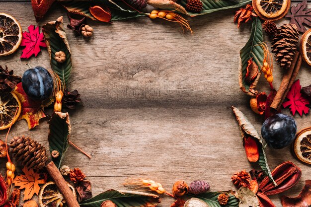 Autumn frame with multicolourful leaves and fruits