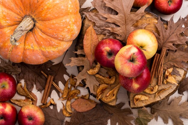 Autumn harvest top view 