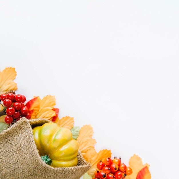 Autumn harvest on white background