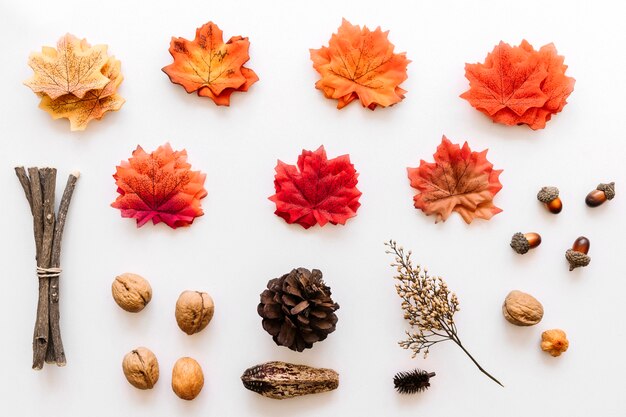 Осенний гербарий цветных деталей дерева