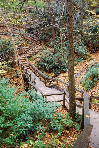 Autumn hiking trail